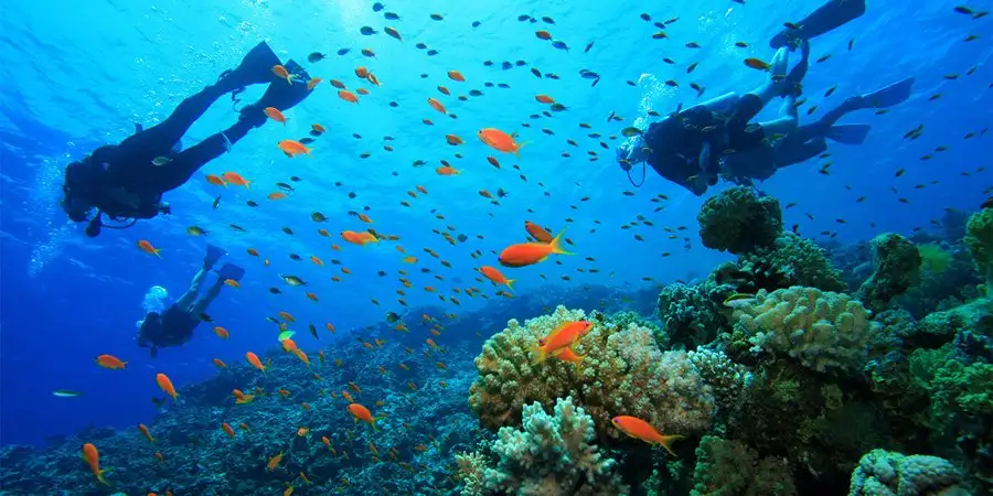 Scuba Diving w Side: Najlepsze Wycieczki w Side