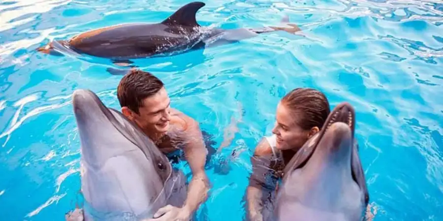 Wycieczka Pływanie z Delfinami w Kemer: Magiczna Przygoda w Aksu Dolphinarium